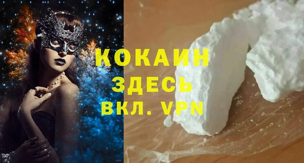 гидра Горно-Алтайск
