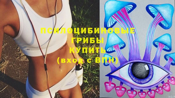 гидра Горно-Алтайск