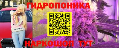 apvp Шахты