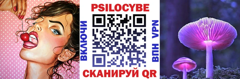 Псилоцибиновые грибы Cubensis  Дальнегорск 