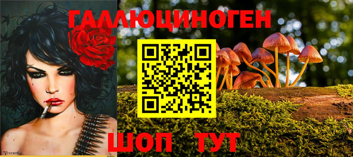 Псилоцибиновые грибы ЛСД  Галлюциногенные грибы Cubensis  Вход с VPN  Дальнегорск 