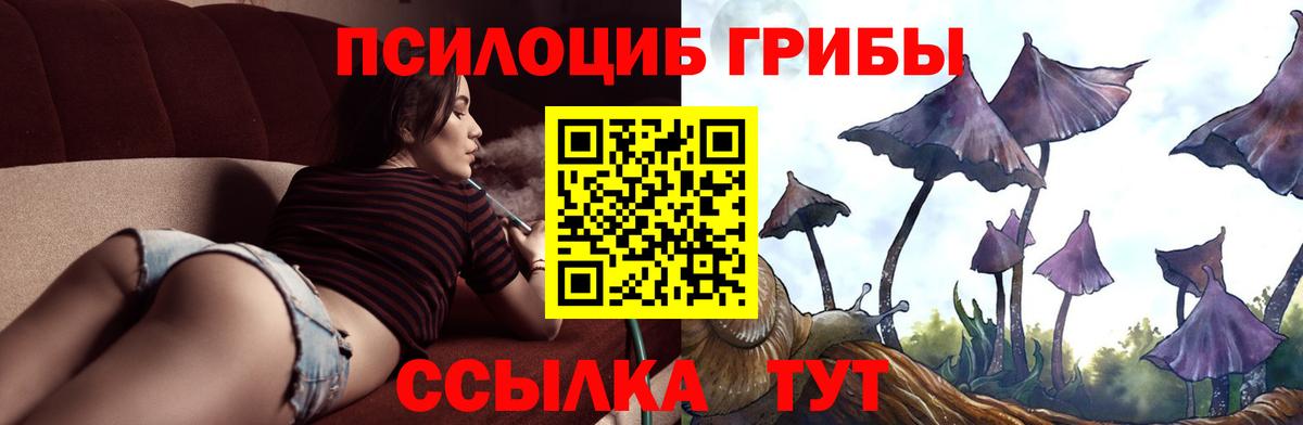 Галлюциногенные грибы прущие грибы Дальнегорск