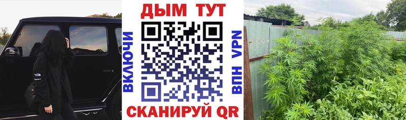 Бошки Шишки марихуана Дальнегорск